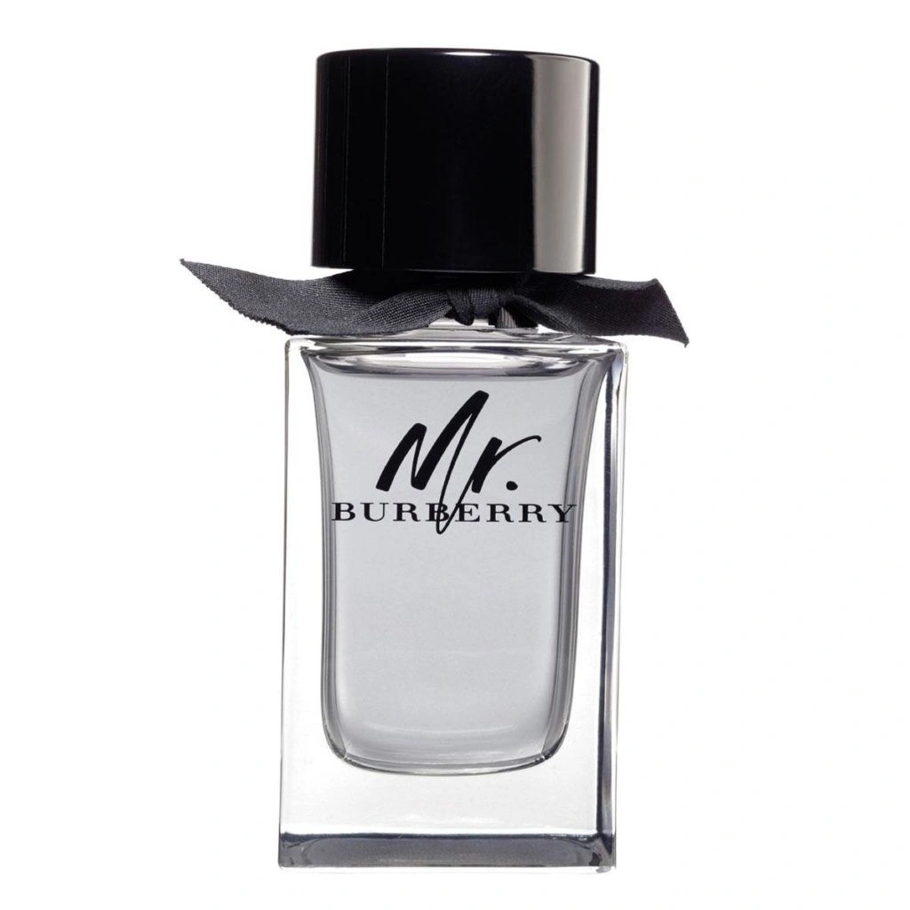 Burberry Mr. Burberry EdT 100ml