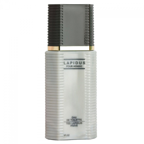 Ted Lapidus Pour Homme Edt 100ml