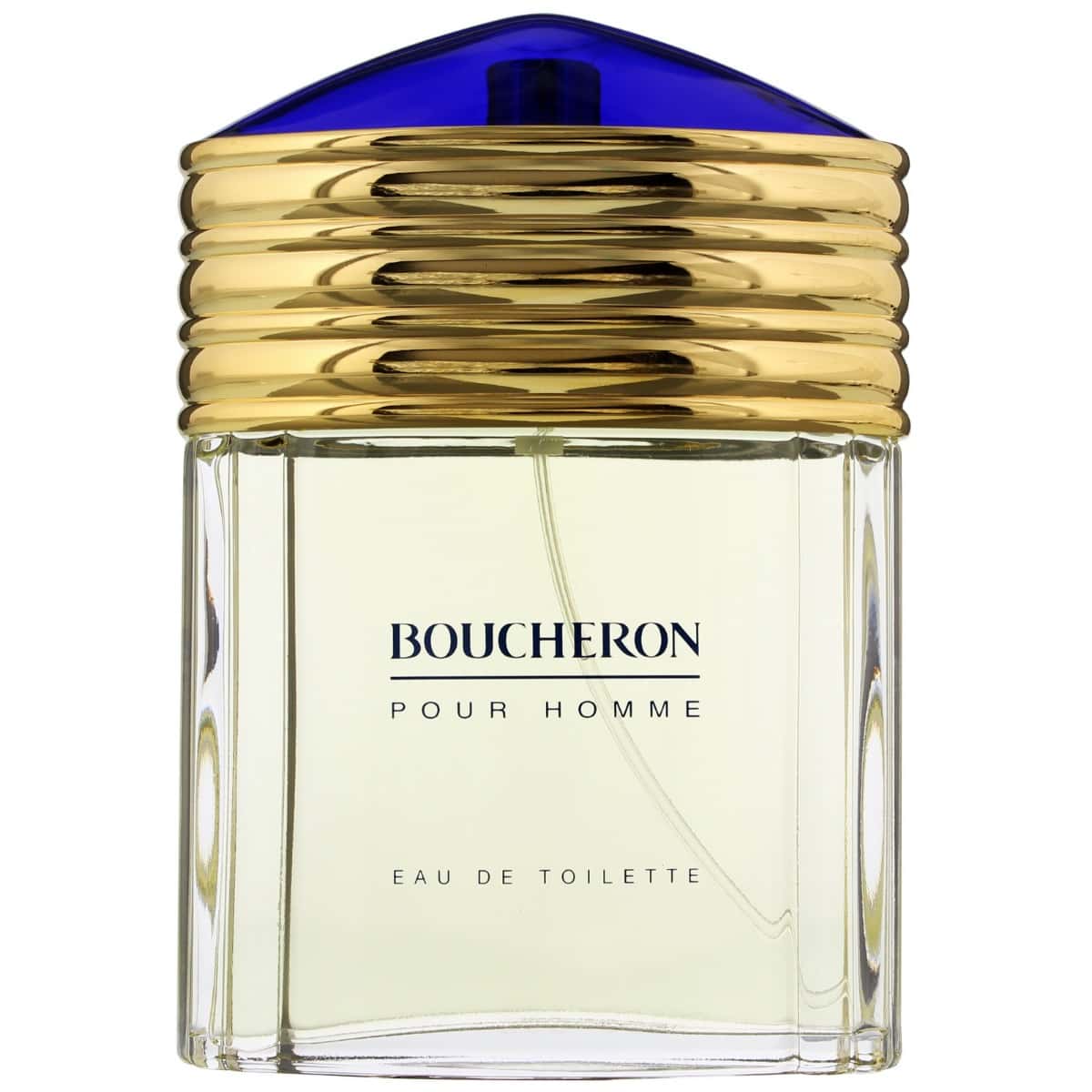 Boucheron Pour Homme EdT 100ml