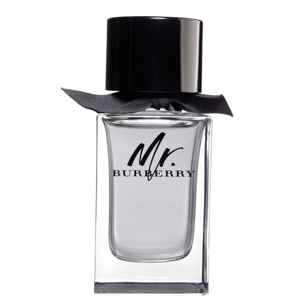 Burberry Mr. Burberry EdT 100ml