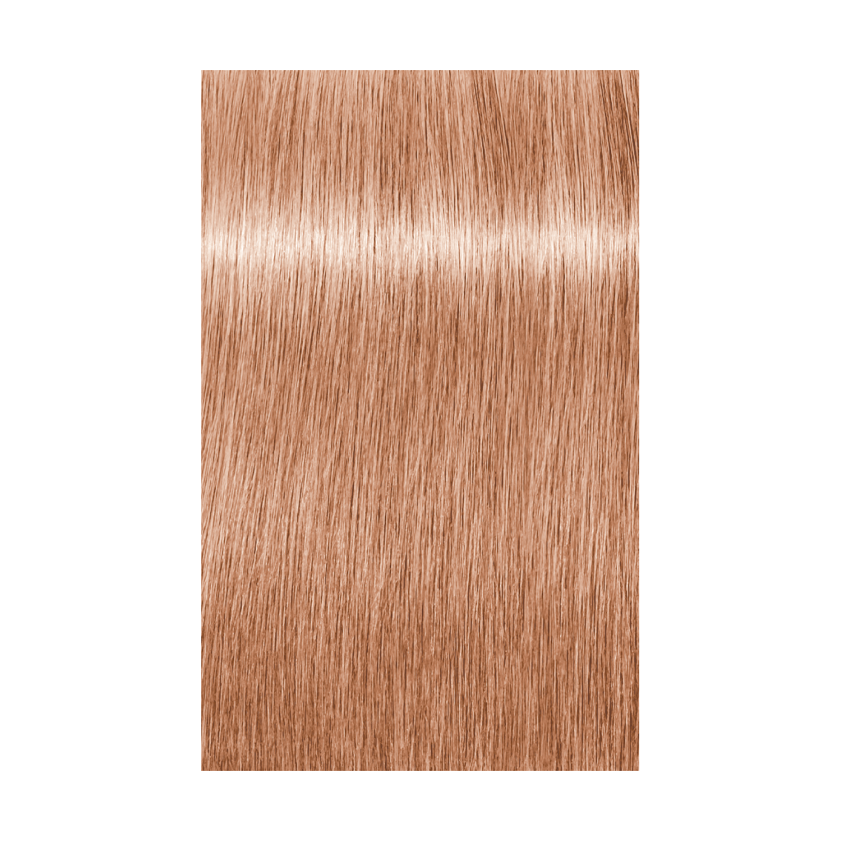 Schwarzkopf Professional Igora Vibrance Kit 9.5-46 Beige Choklad Toner 60ml+60ml