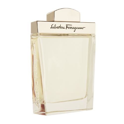 Salvatore Ferragamo Pour Homme EdT 100ml