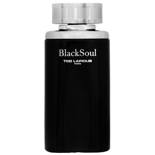 Ted Lapidus Black Soul EdT 100ml